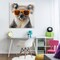 Stupell Industries Cool Koala & Glasses Canvas Wall Art Design by Roozbeh Bahramali